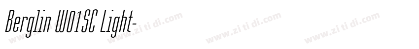 Berglin W01SC Light字体转换